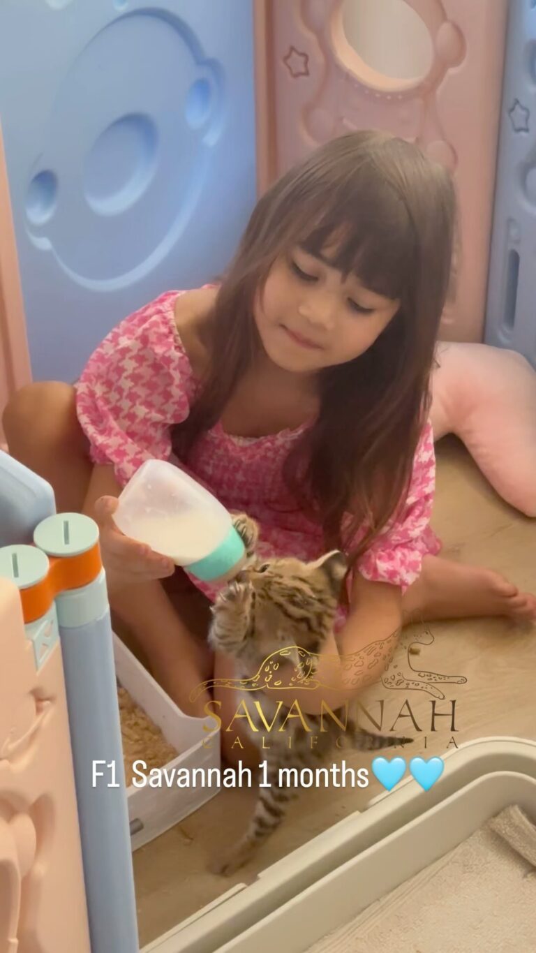 Instagram post from savannahcalifornia. This post is in position 1.