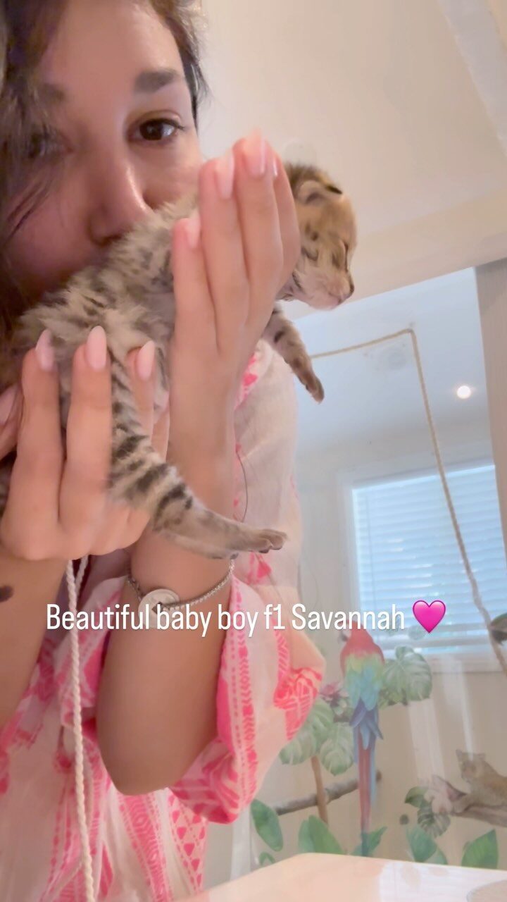 Instagram post from savannahcalifornia. This post is in position 6.