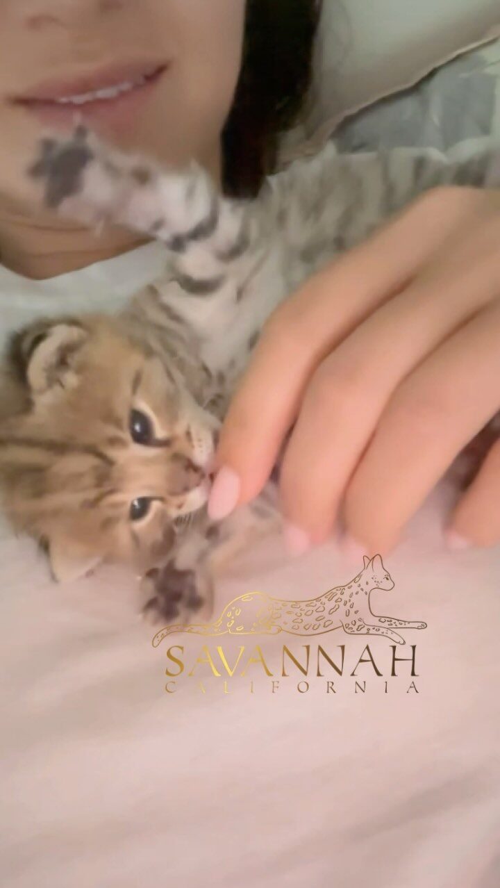 Instagram post from savannahcalifornia. This post is in position 7.