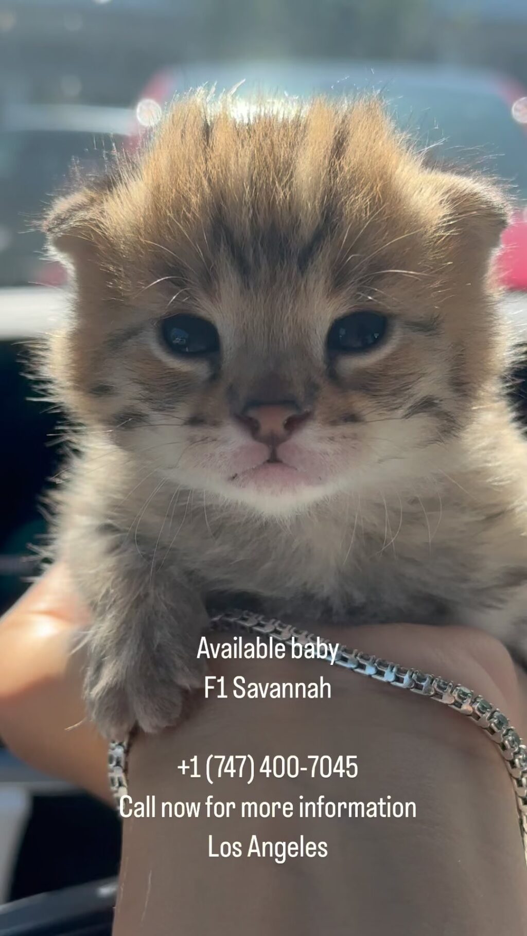 Instagram post from savannahcalifornia. This post is in position 9.