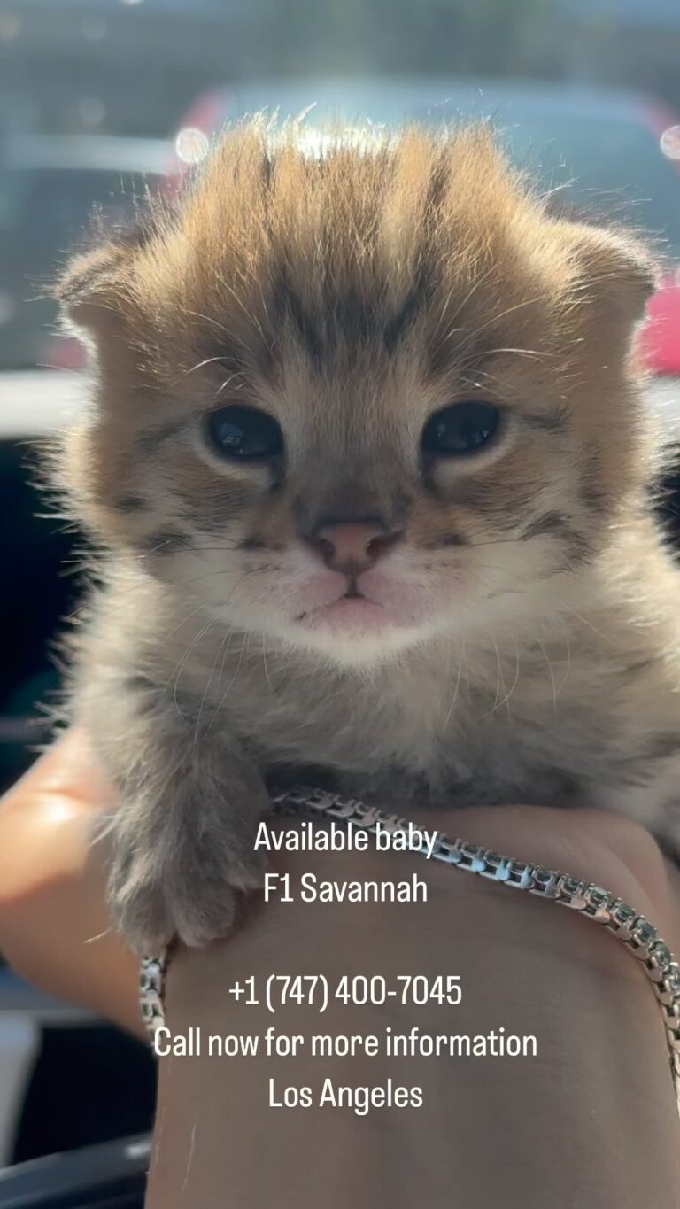 Instagram post from savannahcalifornia. This post is in position 10.