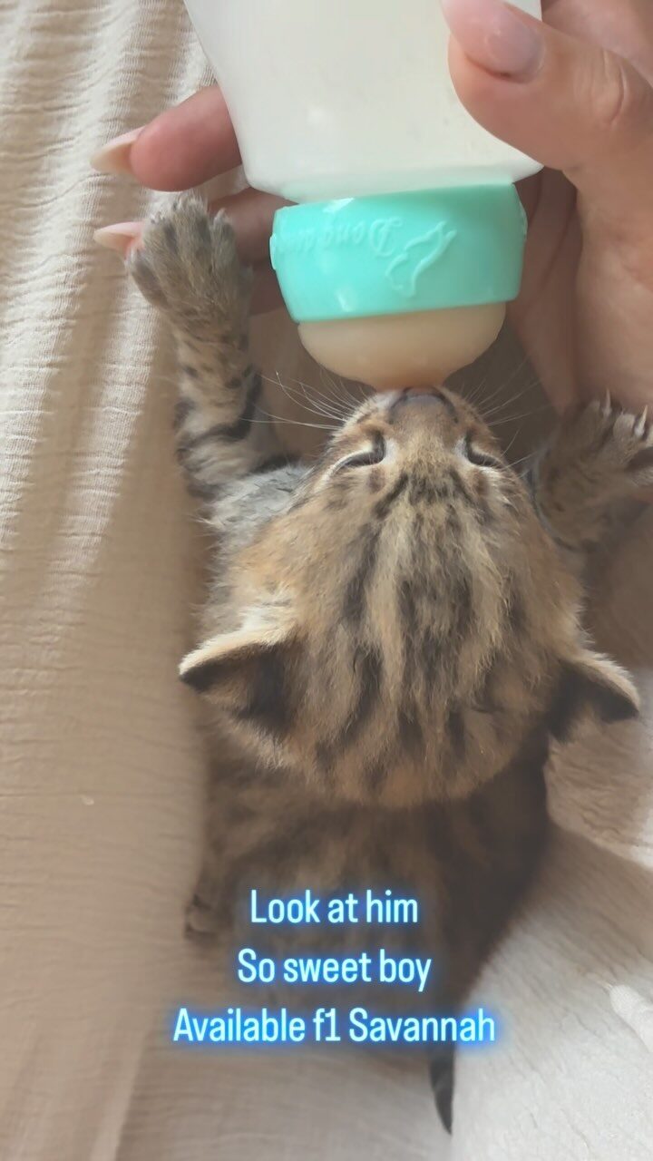 Instagram post from savannahcalifornia. This post is in position 4.