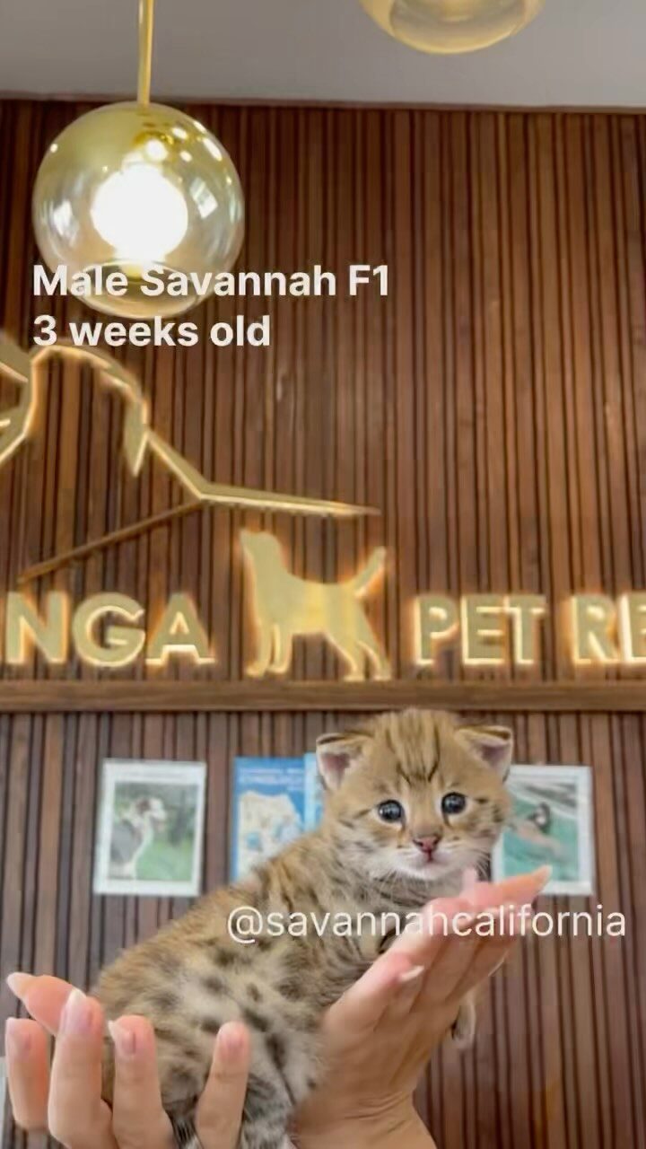 Instagram post from savannahcalifornia. This post is in position 3.