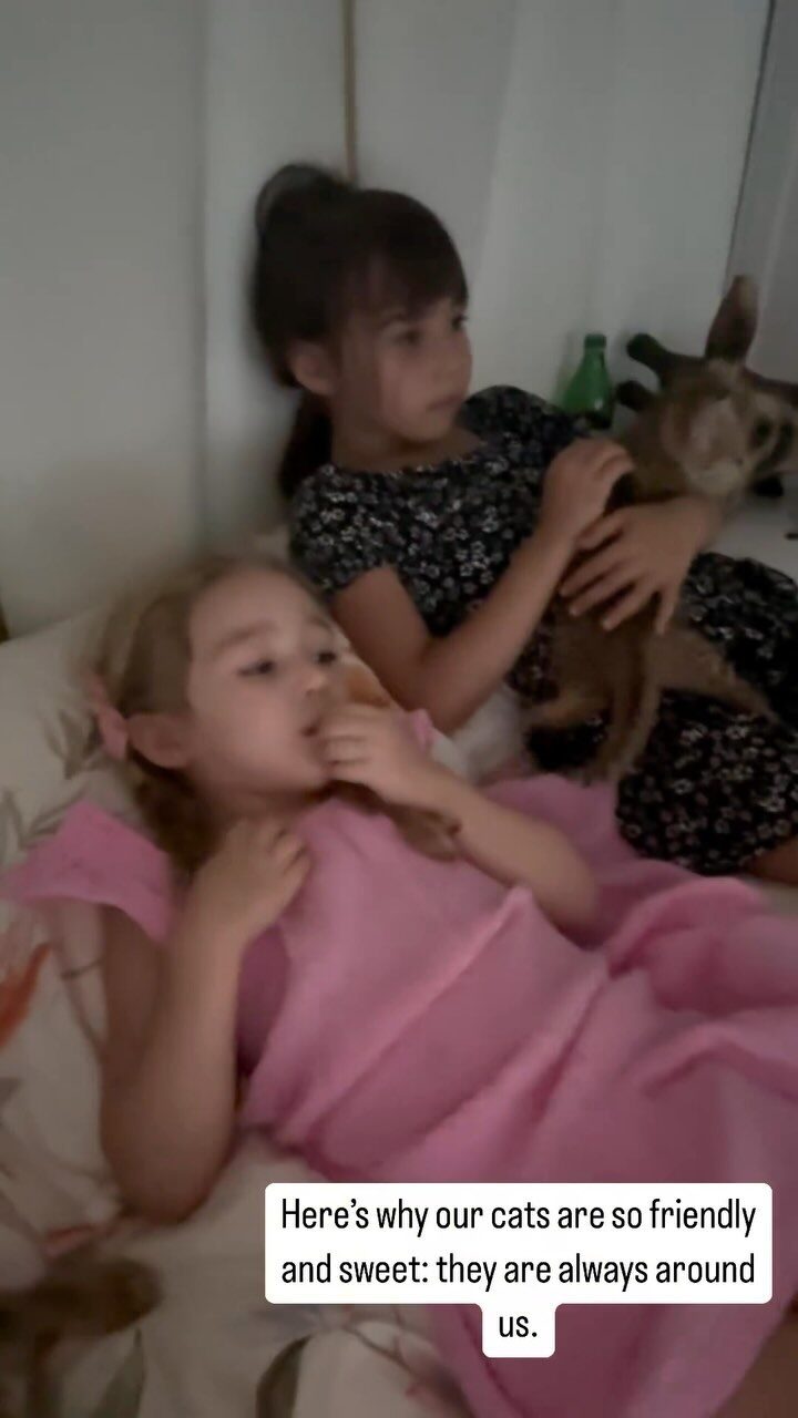 Instagram post from savannahcalifornia. This post is in position 2.