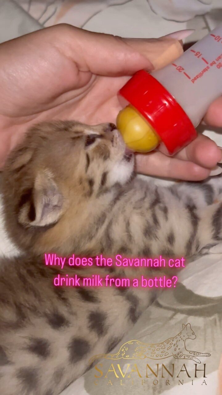 Instagram post from savannahcalifornia. This post is in position 4.