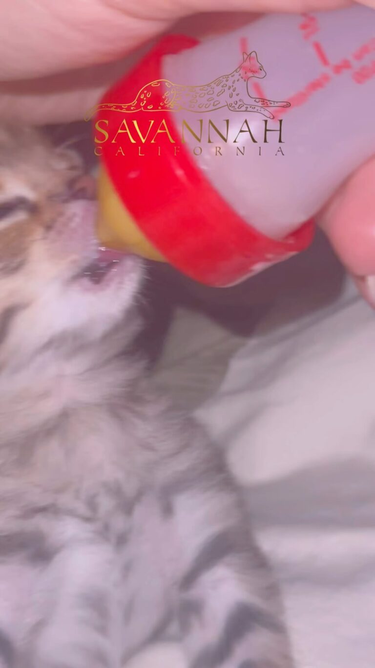 Instagram post from savannahcalifornia. This post is in position 9.