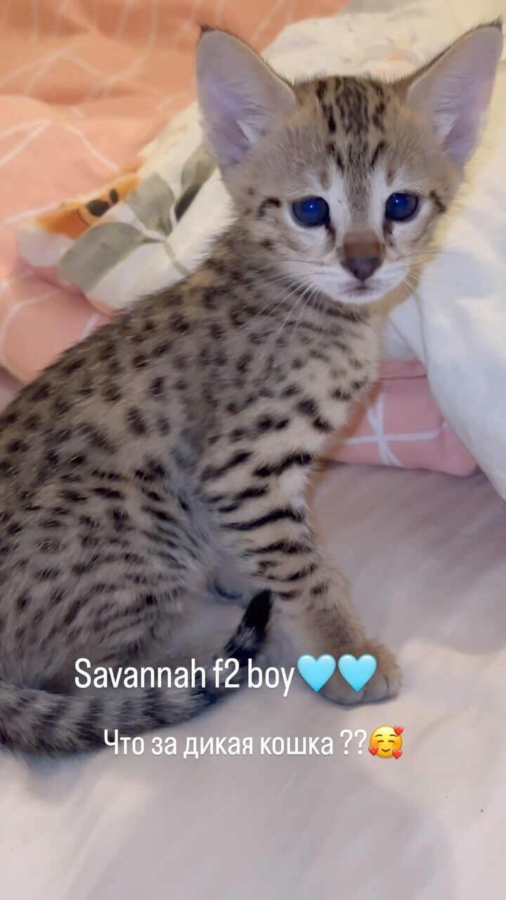 Instagram post from savannahcalifornia. This post is in position 5.